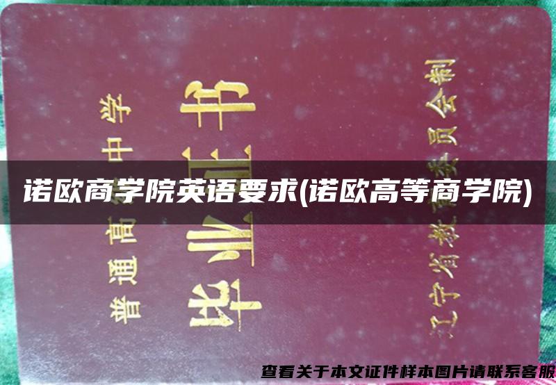 诺欧商学院英语要求(诺欧高等商学院)