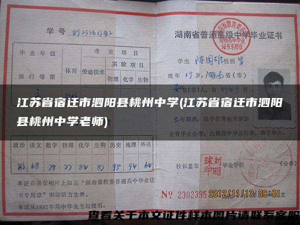 江苏省宿迁市泗阳县桃州中学(江苏省宿迁市泗阳县桃州中学老师)