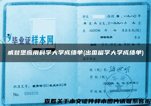 威登堡应用科学大学成绩单(出国留学大学成绩单)