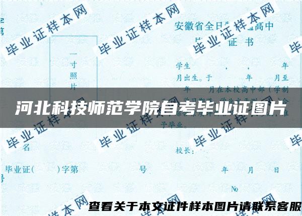 河北科技师范学院自考毕业证图片