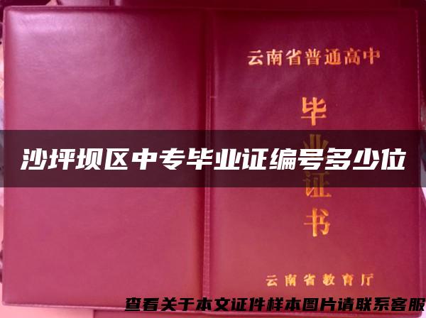 沙坪坝区中专毕业证编号多少位