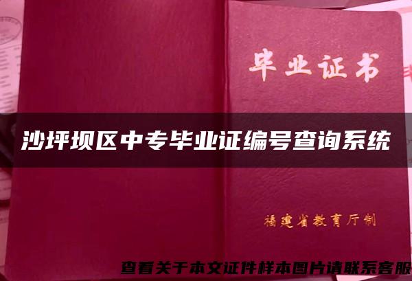 沙坪坝区中专毕业证编号查询系统