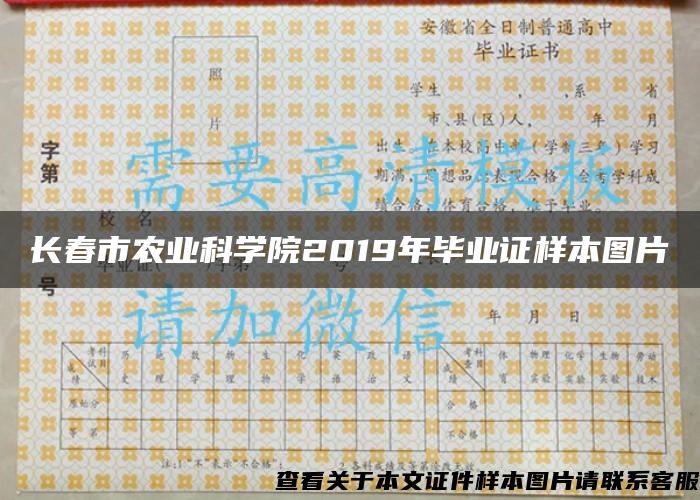 长春市农业科学院2019年毕业证样本图片