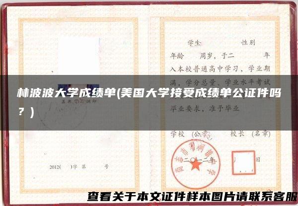 林波波大学成绩单(美国大学接受成绩单公证件吗？)