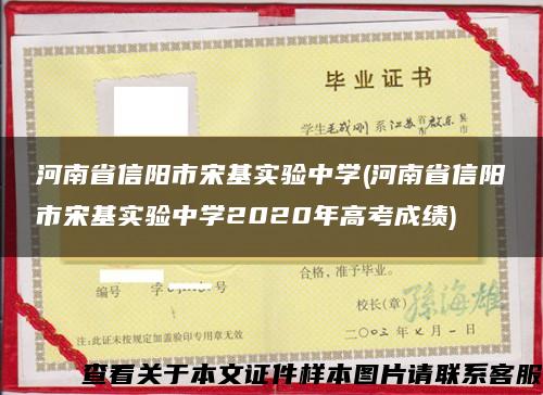 河南省信阳市宋基实验中学(河南省信阳市宋基实验中学2020年高考成绩)