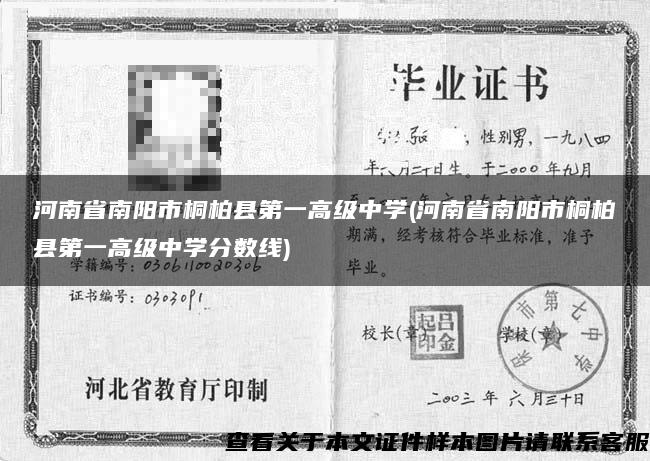 河南省南阳市桐柏县第一高级中学(河南省南阳市桐柏县第一高级中学分数线)