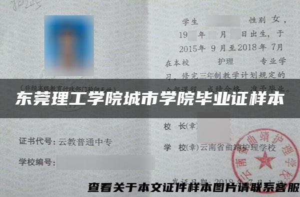 东莞理工学院城市学院毕业证样本