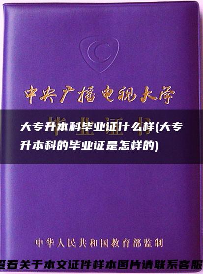 大专升本科毕业证什么样(大专升本科的毕业证是怎样的)