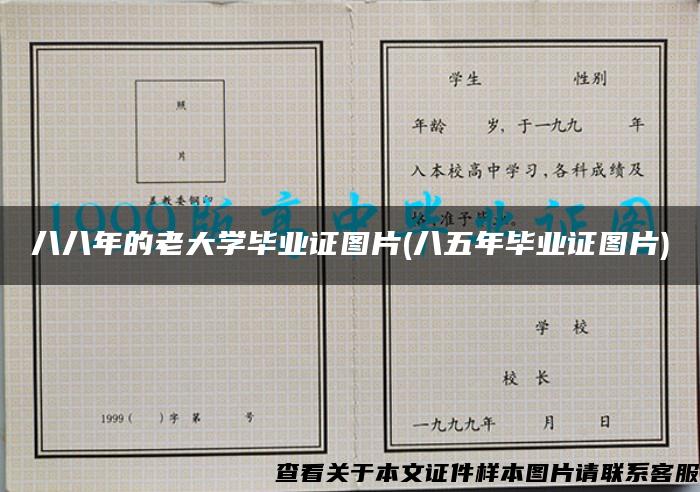 八八年的老大学毕业证图片(八五年毕业证图片)