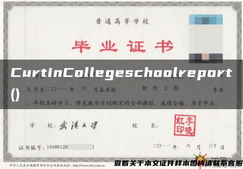 CurtinCollegeschoolreport()