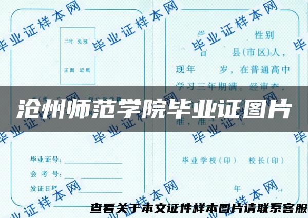 沧州师范学院毕业证图片