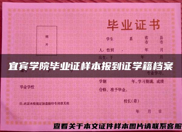 宜宾学院毕业证样本报到证学籍档案