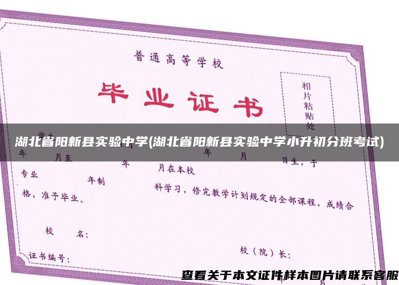 湖北省阳新县实验中学(湖北省阳新县实验中学小升初分班考试)