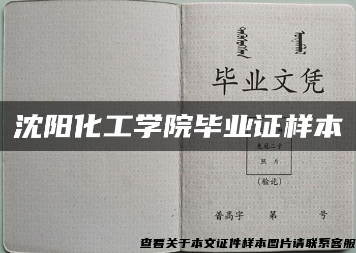 沈阳化工学院毕业证样本