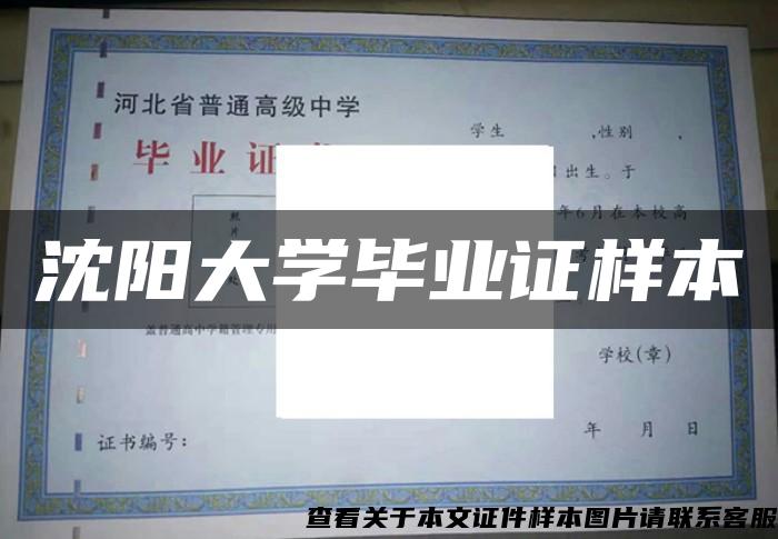 沈阳大学毕业证样本