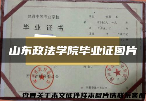 山东政法学院毕业证图片