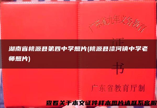 湖南省桃源县第四中学照片(桃源县漆河镇中学老师照片)