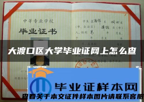 大渡口区大学毕业证网上怎么查