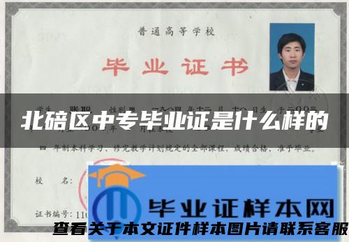 北碚区中专毕业证是什么样的