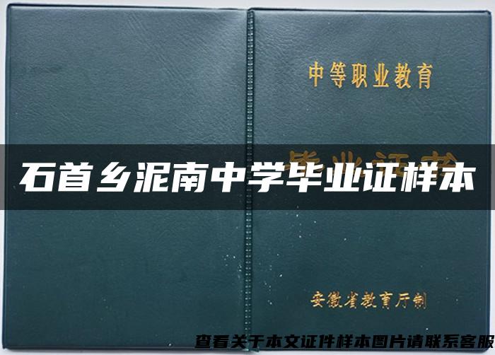 石首乡泥南中学毕业证样本