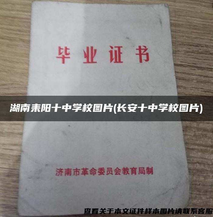 湖南耒阳十中学校图片(长安十中学校图片)