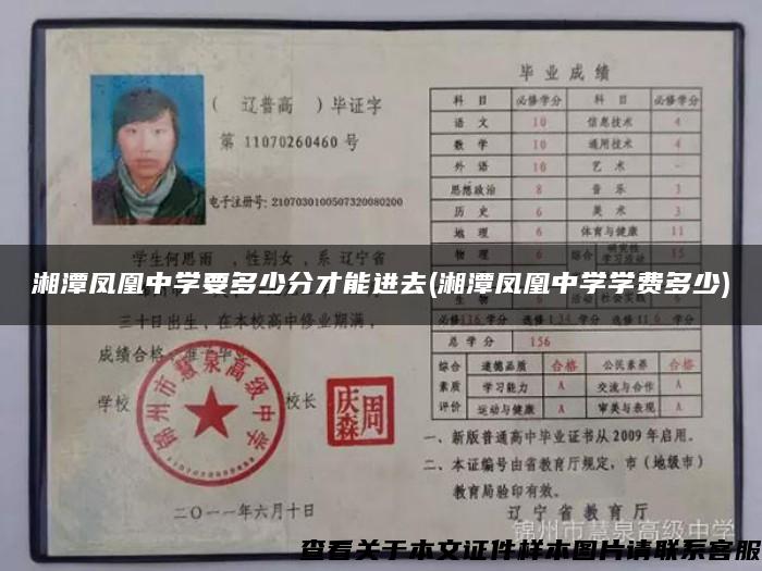 湘潭凤凰中学要多少分才能进去(湘潭凤凰中学学费多少)