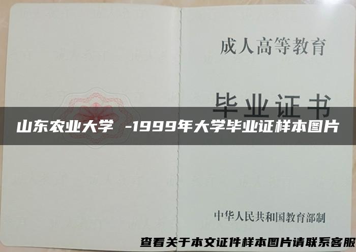 山东农业大学 -1999年大学毕业证样本图片