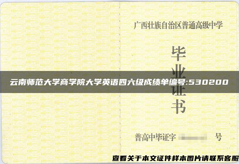 云南师范大学商学院大学英语四六级成绩单编号:530200