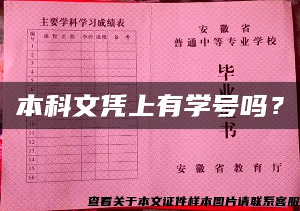 本科文凭上有学号吗？