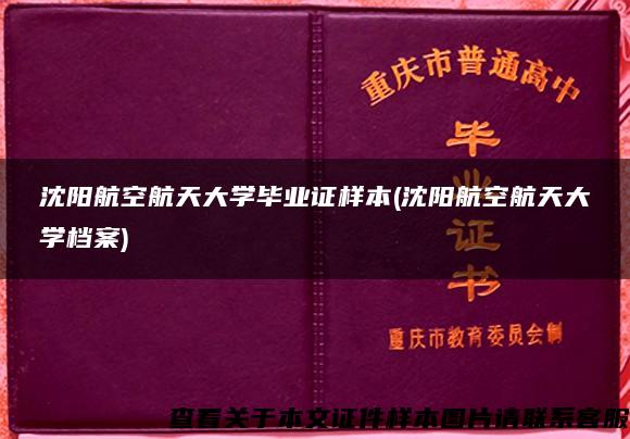 沈阳航空航天大学毕业证样本(沈阳航空航天大学档案)