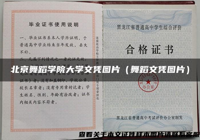 北京舞蹈学院大学文凭图片（舞蹈文凭图片）