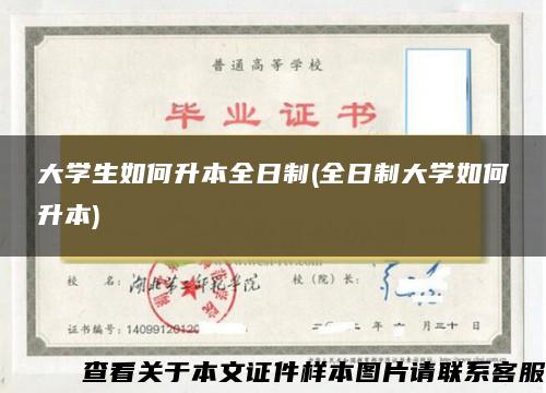 大学生如何升本全日制(全日制大学如何升本)