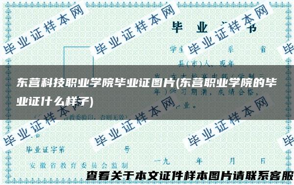 东营科技职业学院毕业证图片(东营职业学院的毕业证什么样子)