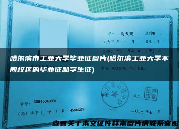 哈尔滨市工业大学毕业证图片(哈尔滨工业大学不同校区的毕业证和学生证)