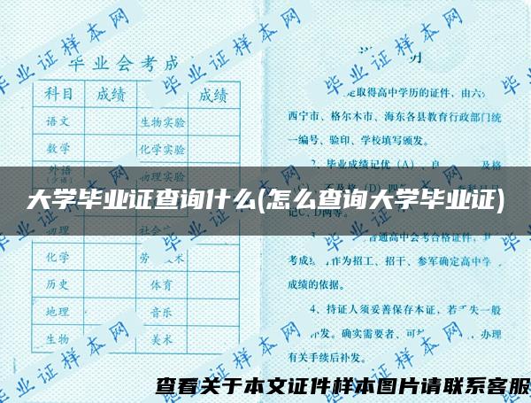 大学毕业证查询什么(怎么查询大学毕业证)