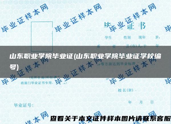 山东职业学院毕业证(山东职业学院毕业证学校编号)