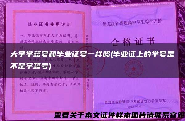 大学学籍号和毕业证号一样吗(毕业证上的学号是不是学籍号)