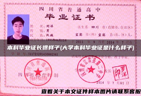 本科毕业证长啥样子(大学本科毕业证是什么样子)