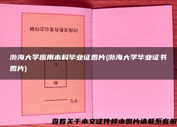 渤海大学应用本科毕业证图片(渤海大学毕业证书图片)