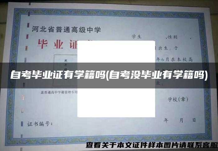 自考毕业证有学籍吗(自考没毕业有学籍吗)