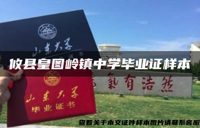 攸县皇图岭镇中学毕业证样本