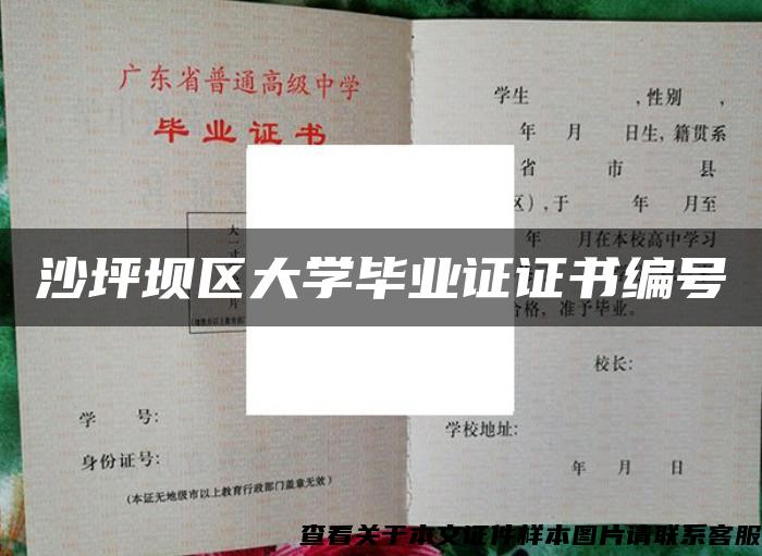 沙坪坝区大学毕业证证书编号