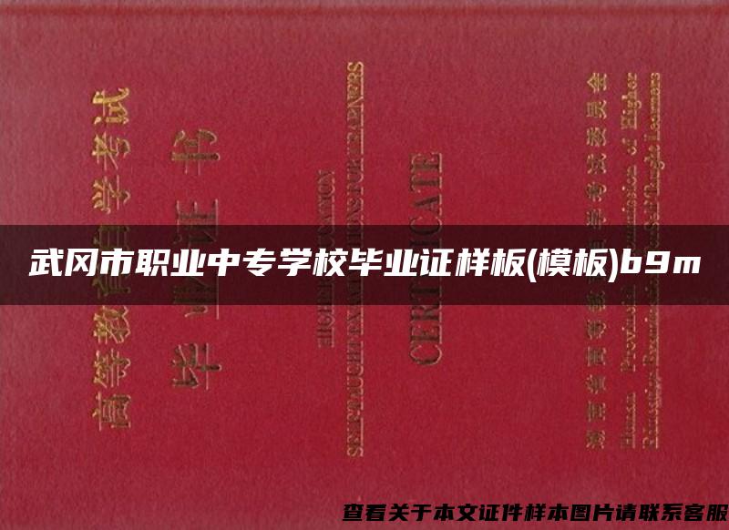 武冈市职业中专学校毕业证样板(模板)b9m