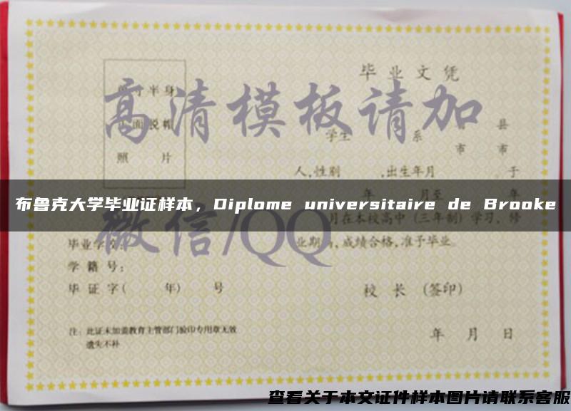 布鲁克大学毕业证样本，Diplome universitaire de Brooke