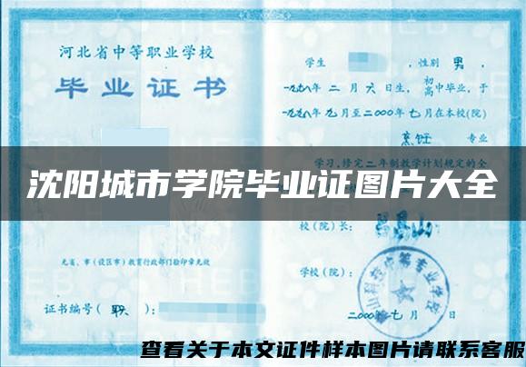 沈阳城市学院毕业证图片大全