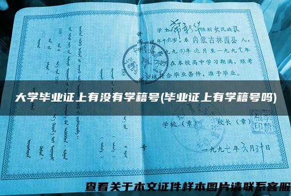 大学毕业证上有没有学籍号(毕业证上有学籍号吗)