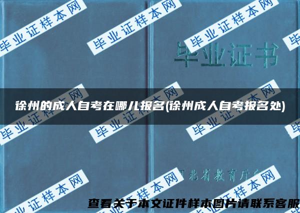 徐州的成人自考在哪儿报名(徐州成人自考报名处)