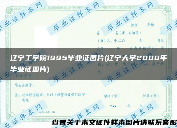 辽宁工学院1995毕业证图片(辽宁大学2000年毕业证图片)