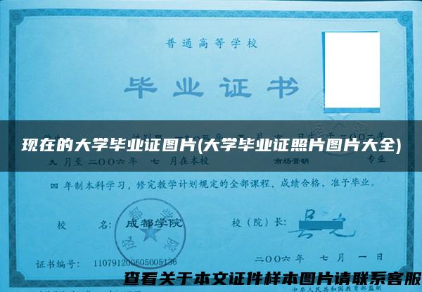 现在的大学毕业证图片(大学毕业证照片图片大全)