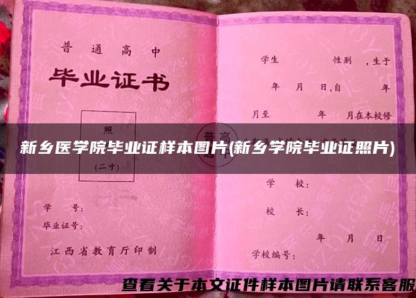 新乡医学院毕业证样本图片(新乡学院毕业证照片)